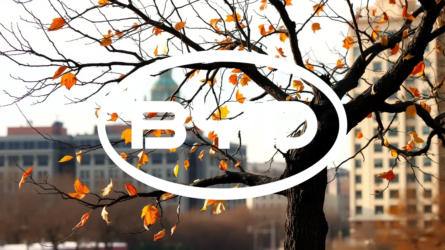 BYD Aktie