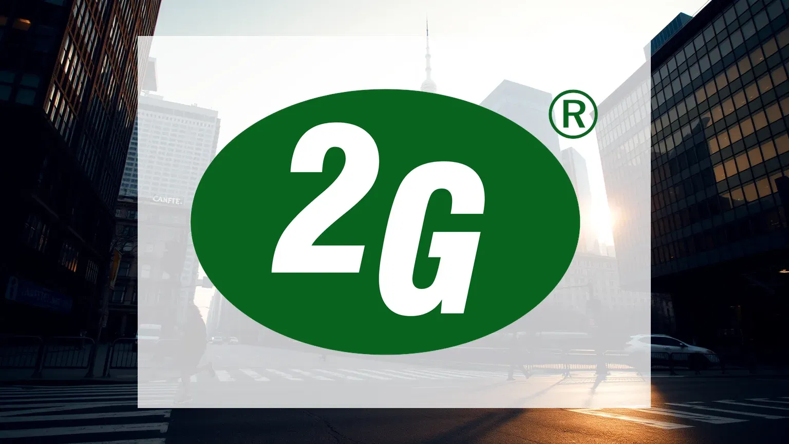 2G Energy Aktie