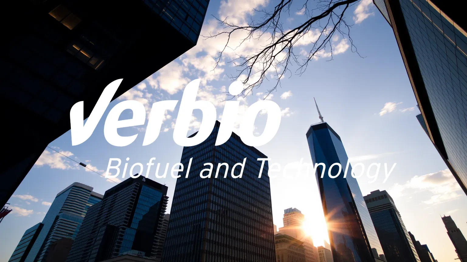 Verbio Aktie